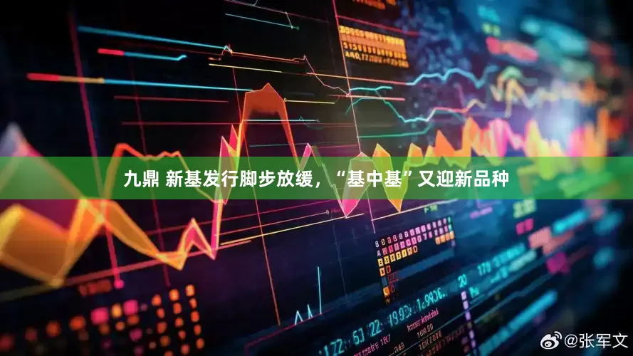 九鼎 新基发行脚步放缓，“基中基”又迎新品种
