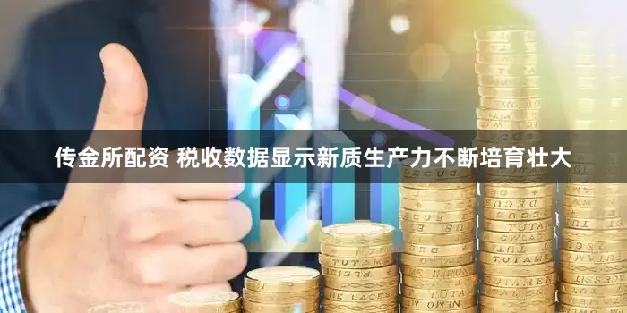传金所配资 税收数据显示新质生产力不断培育壮大