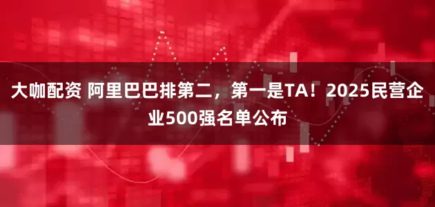 大咖配资 阿里巴巴排第二，第一是TA！2025民营企业500强名单公布